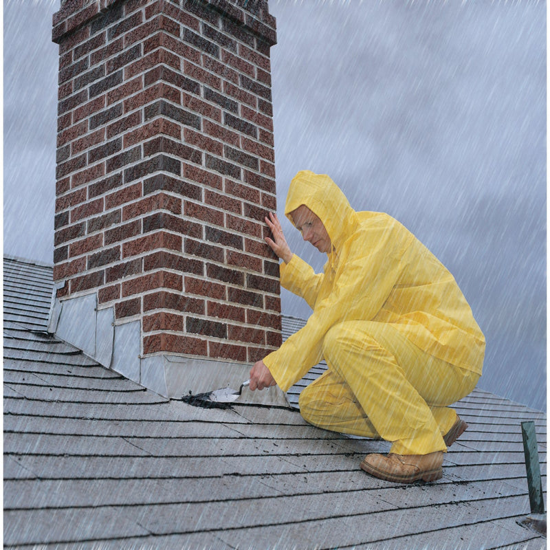 Henry 10.1 Oz. Wet Surface Plastic Roof Cement