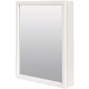 Zenith Zenna Home White 20 In. W. x 25 In. H. x 4.5 In. D. Single Mirror Surface Mount Framed Medicine Cabinet