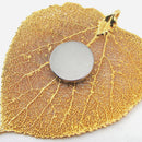 MagnetSource 1.68 Lb. Capacity Neodymium Disc Magnet with Adhesive (12-Pack)