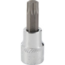 Channellock 3/8 In. Drive T50 6-Point Torx Bit Socket