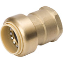 ProLine 1 In. PF x 1 In. FIP Brass Push Fit Female Adapter