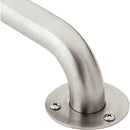 Moen Home Care 42 In. Exposed Screw Grab Bar, Stainless Steel