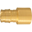 Apollo Retail 1/2 In. Barb x 1/2 In. Female Sweat Brass PEX-A Adapter