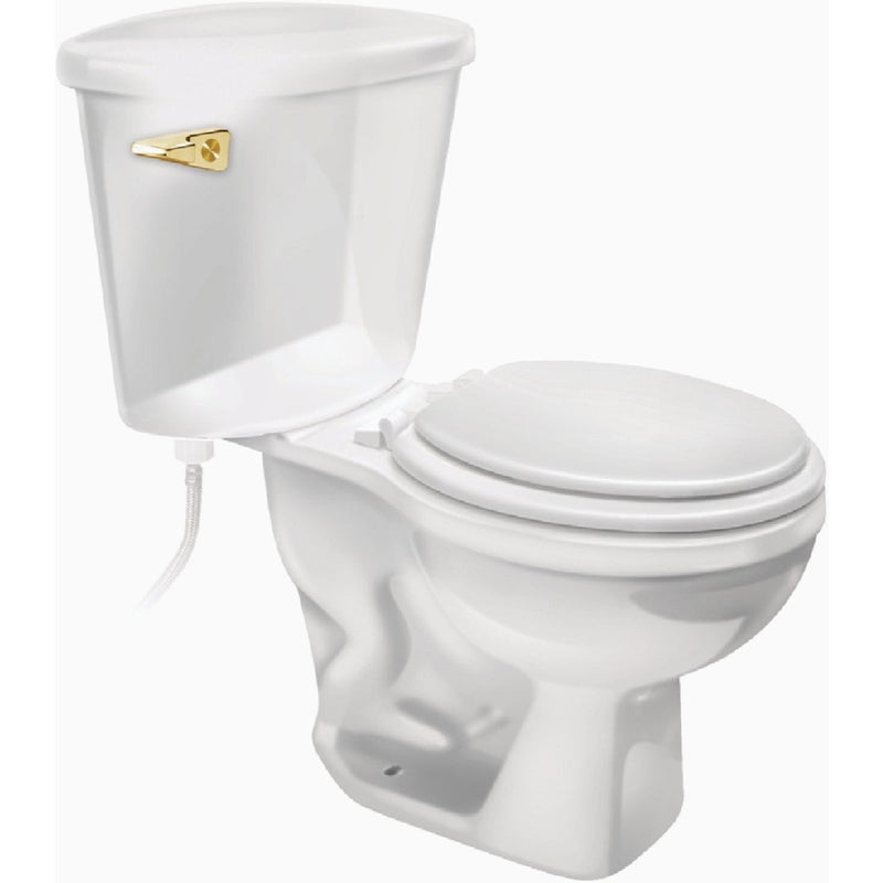 Fluidmaster Sure-Fit Basic Polished Brass Tank Lever with Plastic Arm
