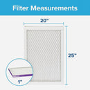 Filtrete Allergen, Bacteria & Virus Air Filter, 1500 MPR, 20 In. x 25 In. x 1 In.