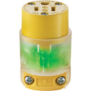 Leviton 15A 125V 3-Wire 2-Pole Illuminated Cord Connector