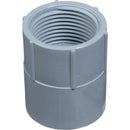 Carlon 2 In. Female Threaded & Socket PVC Conduit Female Adapter