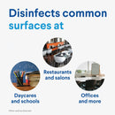 Clorox 81 Oz. Concentrated Germicidal Bleach