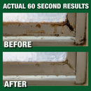 Mold Armor Rapid Clean Remediation 1 Gal. Mold Remover