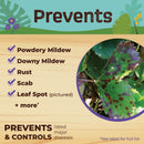 Bonide Captain Jack's 32 Oz. Ready To Use Trigger Spray Neem  Oil Fungicide, Insecticide, & Miticide