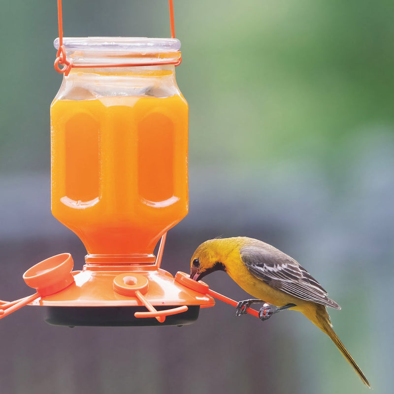 Perky Pet 32 Oz. Orange Liquid Concentrate Oriole Nectar