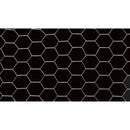 1 In. x 72 In. H. x 50 Ft. L. Hexagonal Wire Poultry Netting