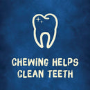 Purina Busy Bone Small & Medium Dog Meat Flavor Dental Dog Treat (2-Pack)