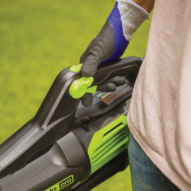 Greenworks 80V 730 CFM 170 MPH Brushless Axial Leaf Blower with 2.5 Ah & 4 Amp Rapid Charger