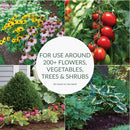 Preen 5.625 Lb. Ready To Use Granules Garden Weed Preventer