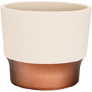 HC Companies Sprite 3 In. x 3 In. x 2.5 In. Resin Vanilla Bisque Succulent Pot