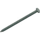 Do it 12d x 3-1/4 In. 9 ga Hot Galvanized Common Nails (61 Ct., 1 Lb.)