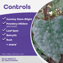 Bonide All Seasons 32 Oz. Concentrate Dormant Horticultural Oil