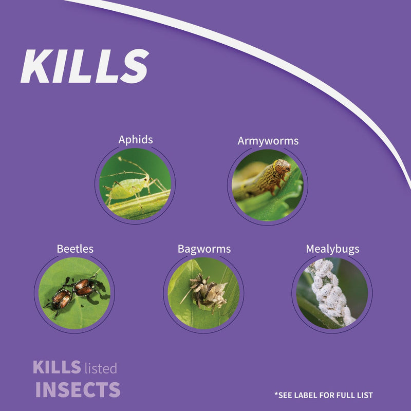 Bonide Eight 16 Oz. Concentrate Insect Control Vegetable, Fruit & Flower Insect Killer