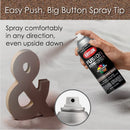 Krylon Fusion All-In-One Textured Spray Paint & Primer, Burnt Sienna