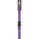 Lupine 1 In. 16 In. to 28 In. Jelly Roll Dog Collar
