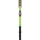 Lupine 1 In. x 6 Ft. High Visibility Reflective Green-Diamond Dog Leash