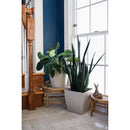 HC Companies Aria 6 In. Matte White Planter