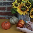 DAP RapidFuse Blue Stik 1 Oz. Blue Reusable Adhesive Putty